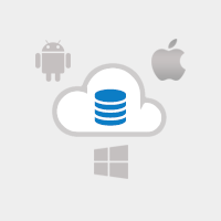 Application Development